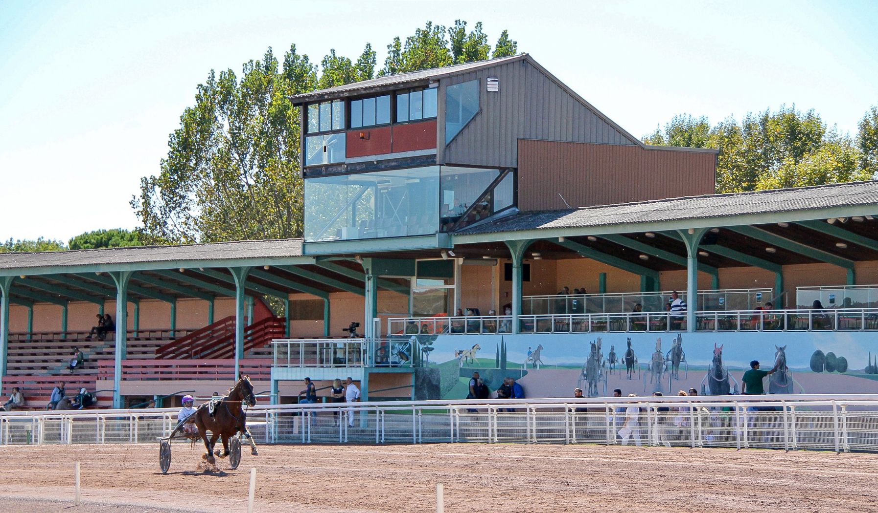 Photo d'une course hippique avec un chariot et un cavalier