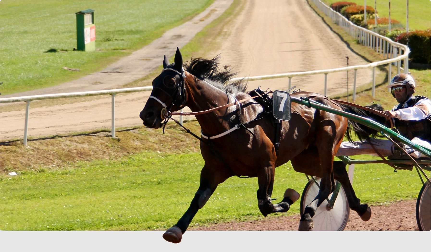 Photo d'une course hippique avec un cheval tirant un chariot et son cavalier